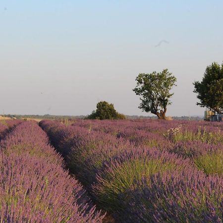 Le Mas Du Colombier Cadenet Eksteriør bilde